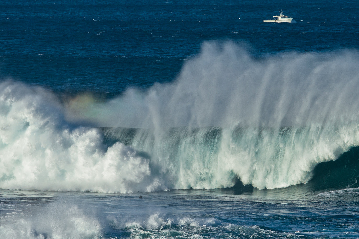 Thurston Photo wipeout. Photo by Mikey McArthur