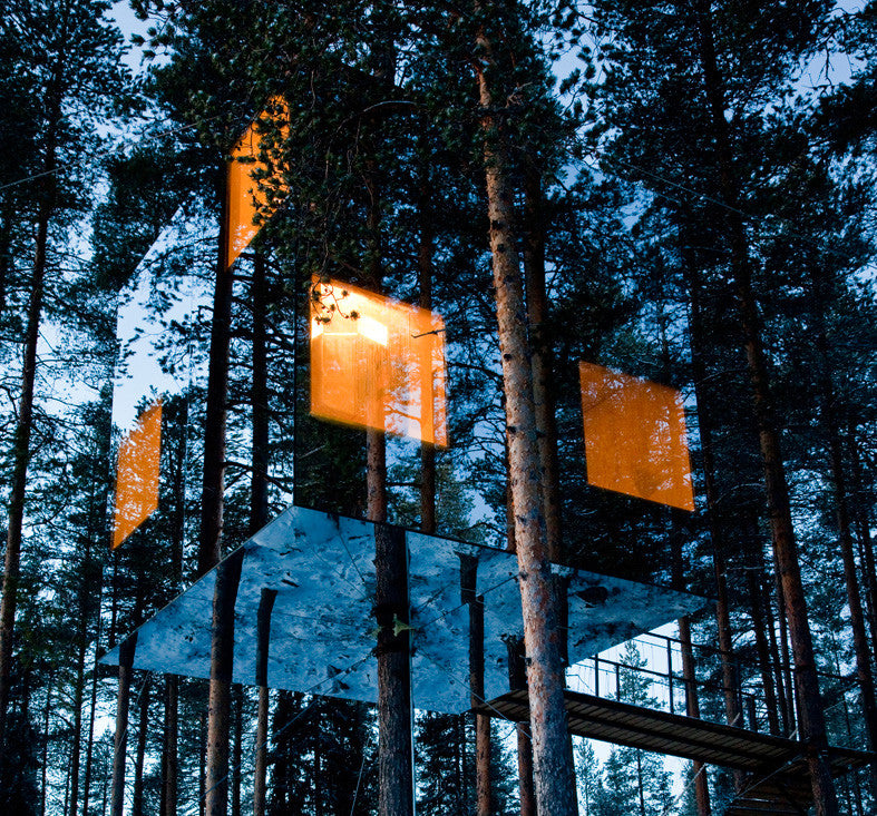 tree hotel // sweden 