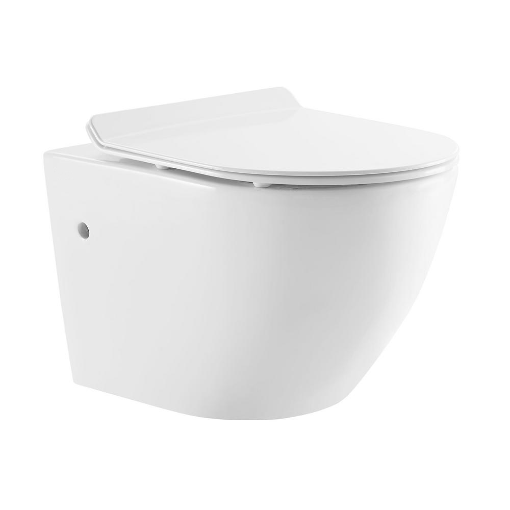 BAI 1015 Contemporary Wall Hung Toilet & Carrier Tank – Dual Flush wit –  MegaBAI