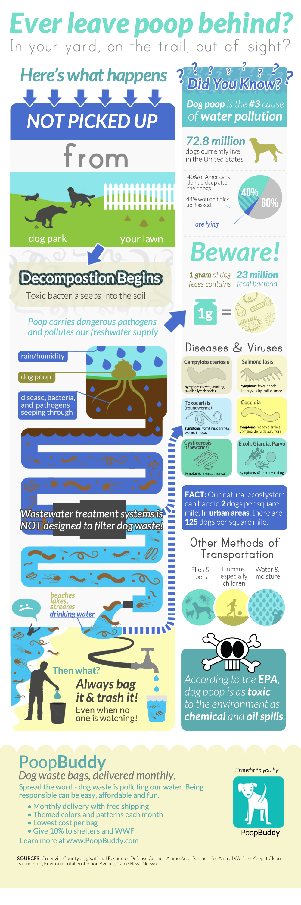 Free infographic dog poop water pollution poopbuddy