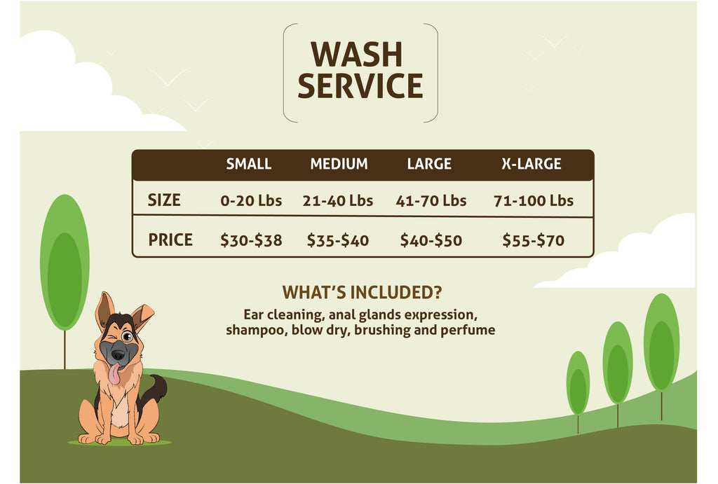 mobile dog wash prices