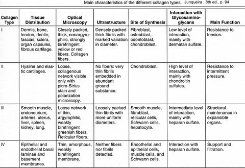 Collagen Table Listing Types