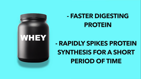 Whey Protein Supplements