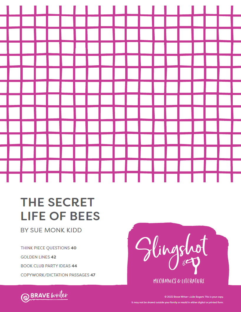 the secret life of bees book club questions