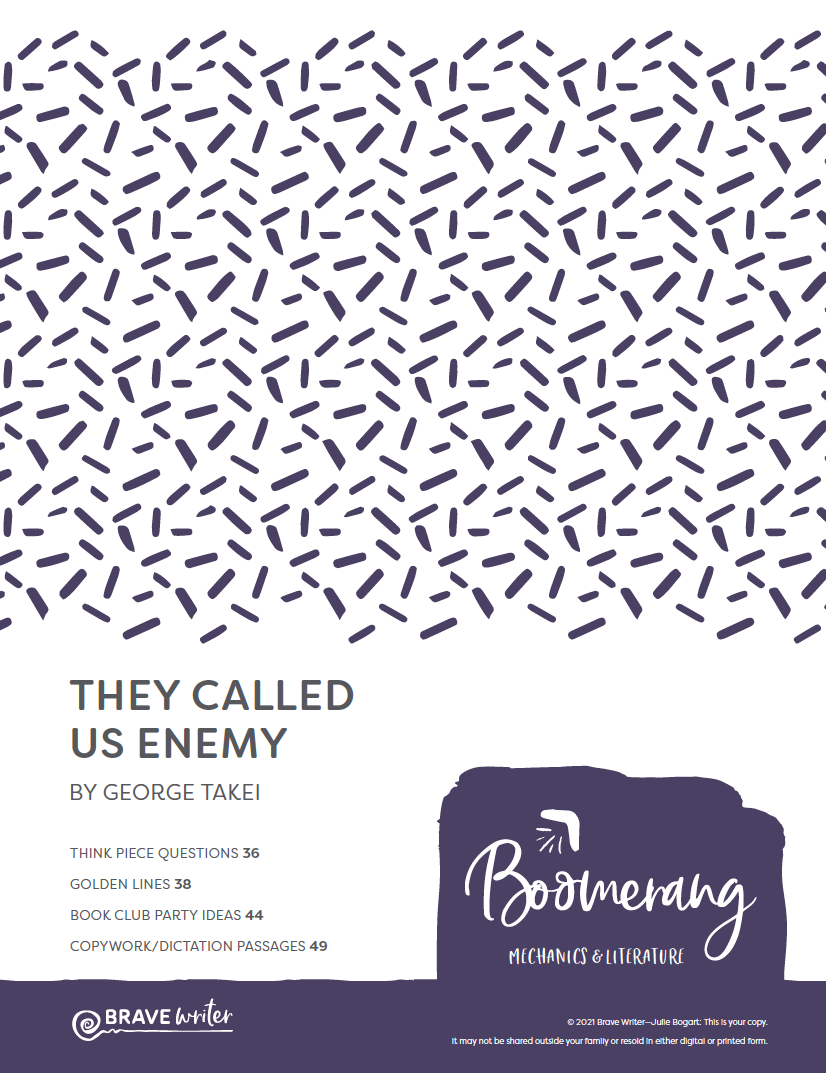 they called us enemy book cover