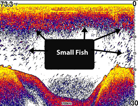 What do Small Fish Look Like on Sonar