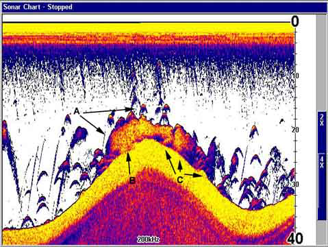 How To Read Sonar Charts