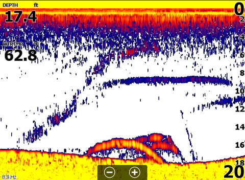 Fish size on sonar