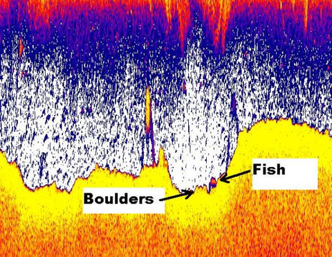 Finding Fish Near the Bottom with Sonar