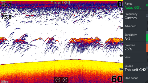 Crappies on different sonar brands