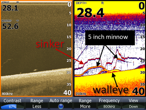 walleye and minnow size on sonar