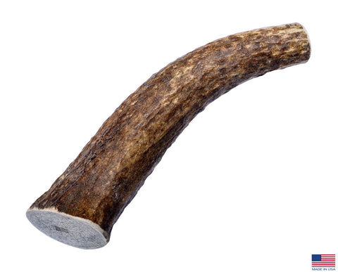 elk antlers for dogs grown