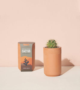 Terracotta Grow Kit (5 Plant Options)