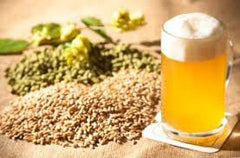 2018 Intro To All Grain Brewing Workshop