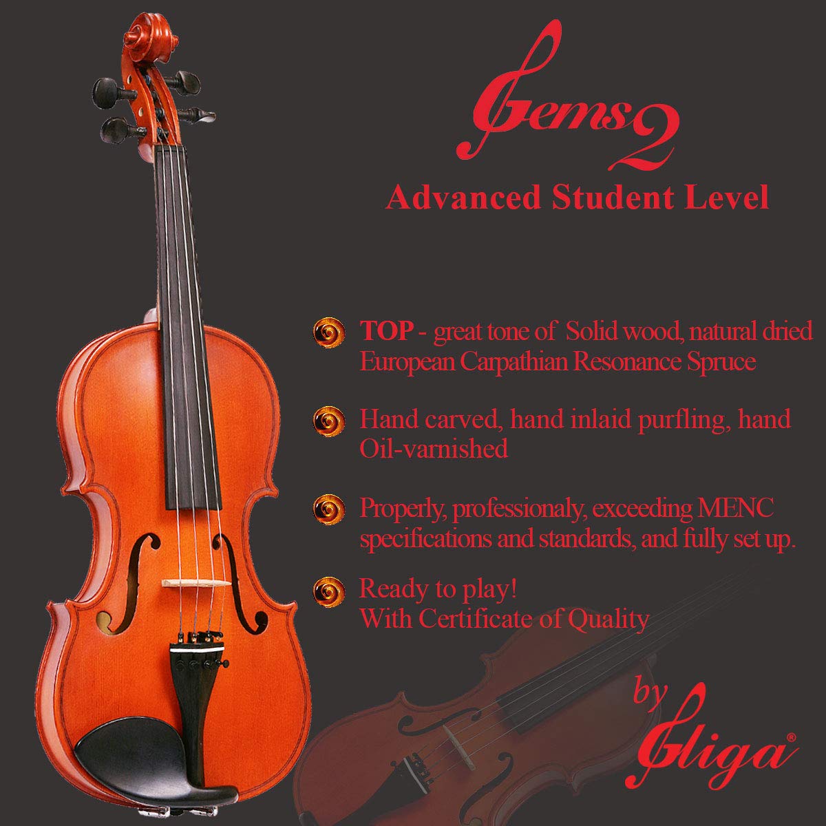 Student 'GEMS 2' Model, a Gliga Violin Handmade in Romania