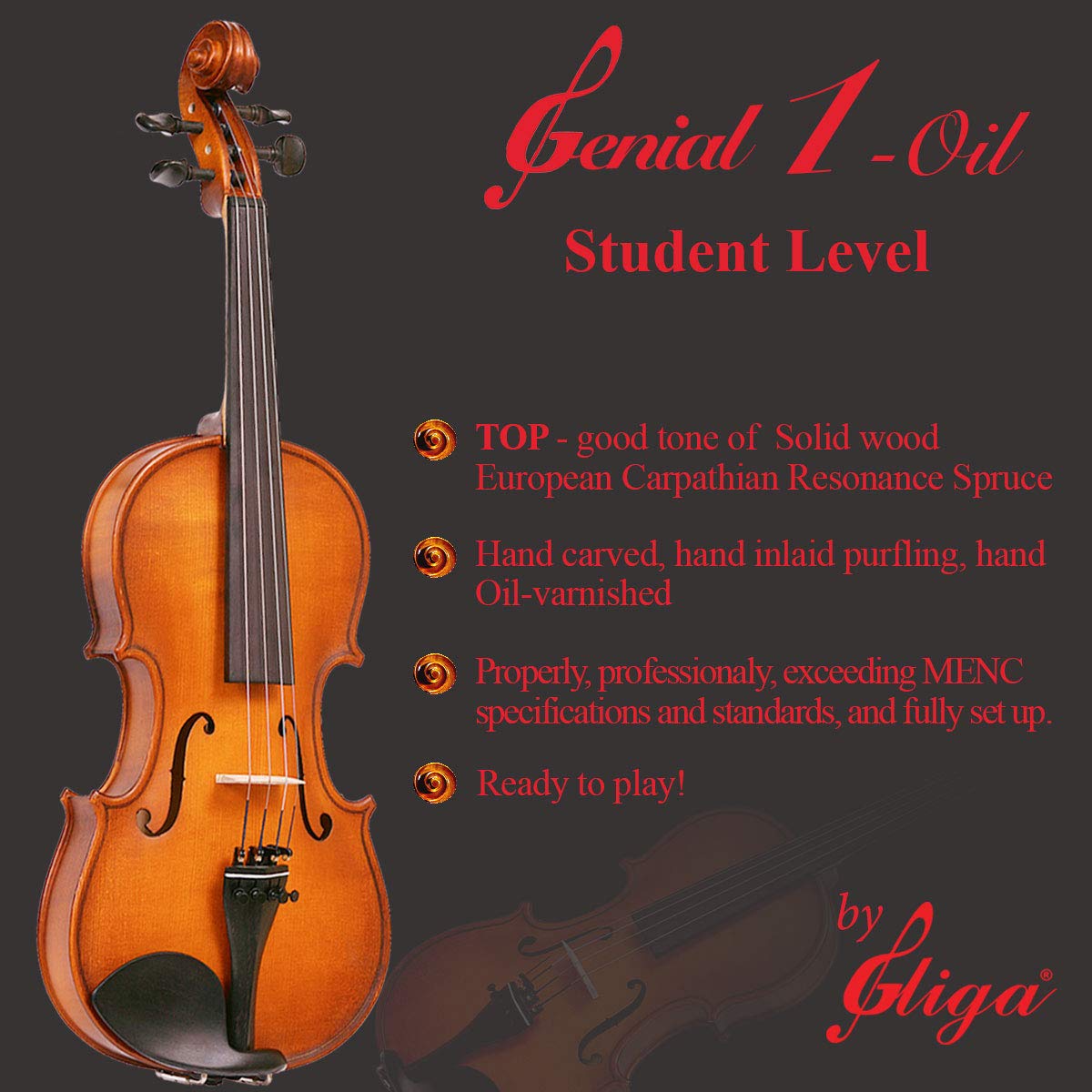 Gliga Genial Violin チェロ(ハードケース付) - 楽器/器材