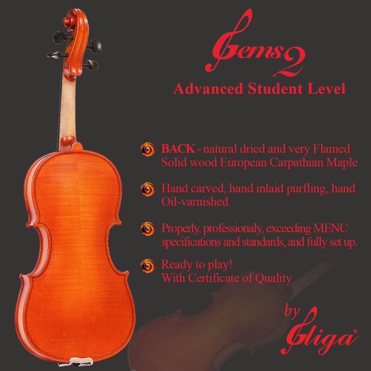 Student 'GEMS 2' Model, a Gliga Violin Handmade in Romania