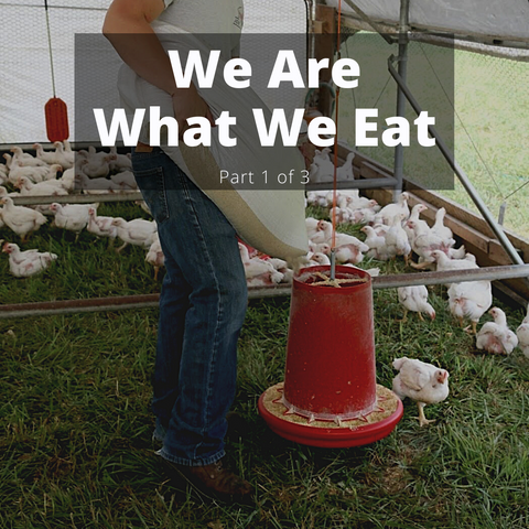 We Are What We Eat - Part 1