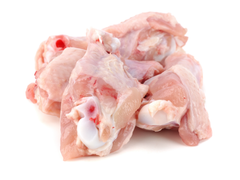 organic chicken backs raw dog food