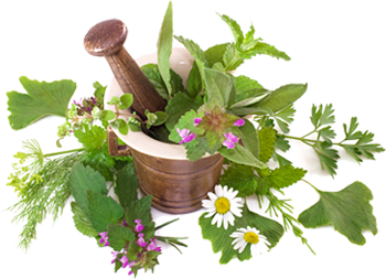 Organic Bulk Herbs - The Herbalist