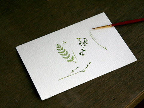 Tiny watercolor ferns and greens by Felix Fu. 