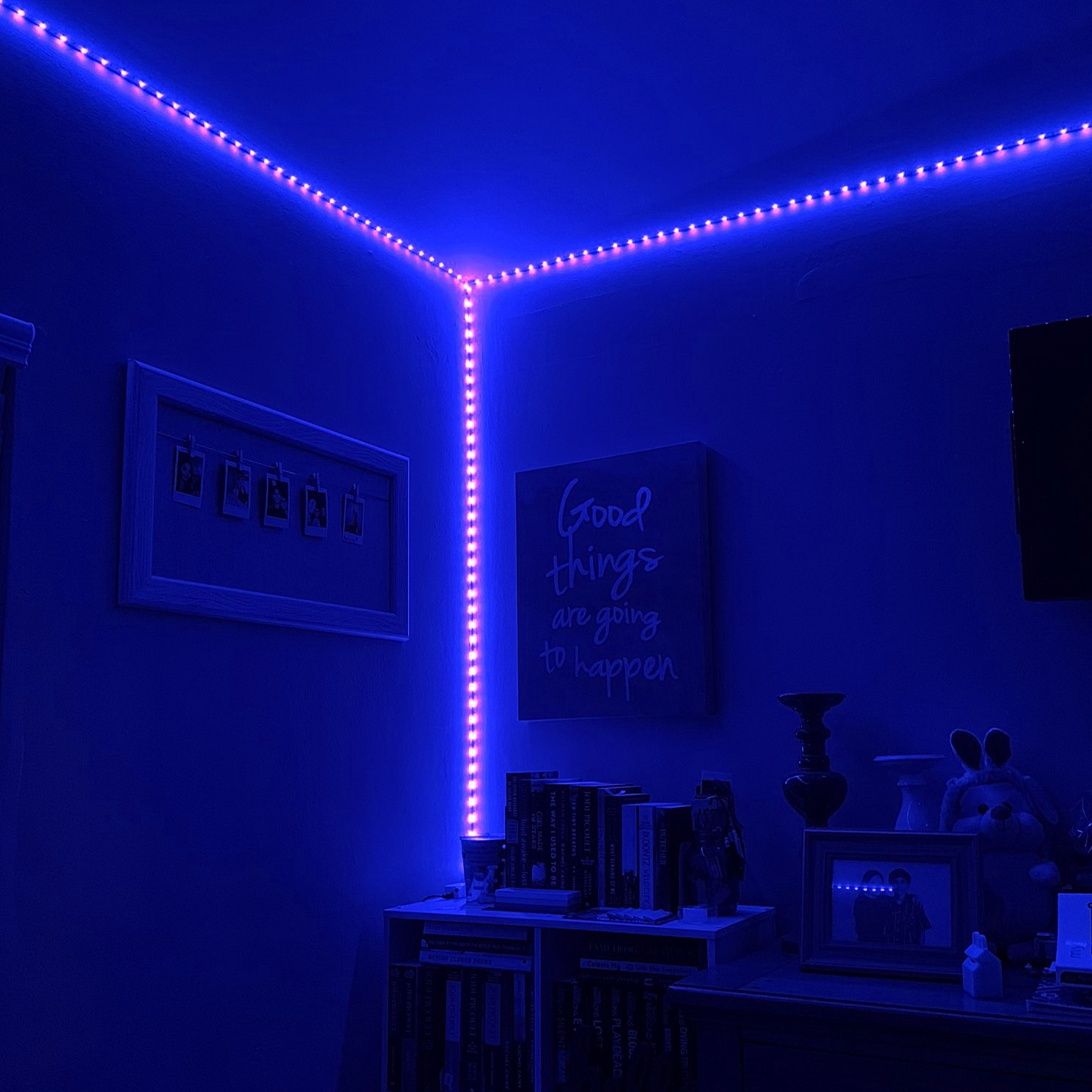 best led strips for room reddit