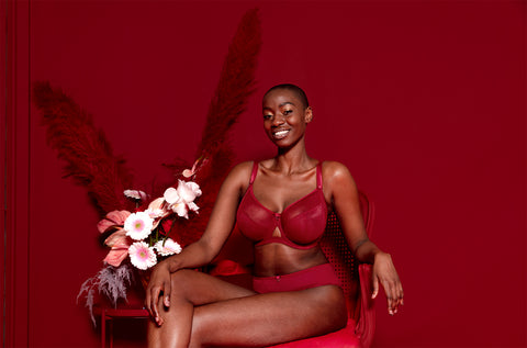 Perfect fit padded bras offer at Ackermans