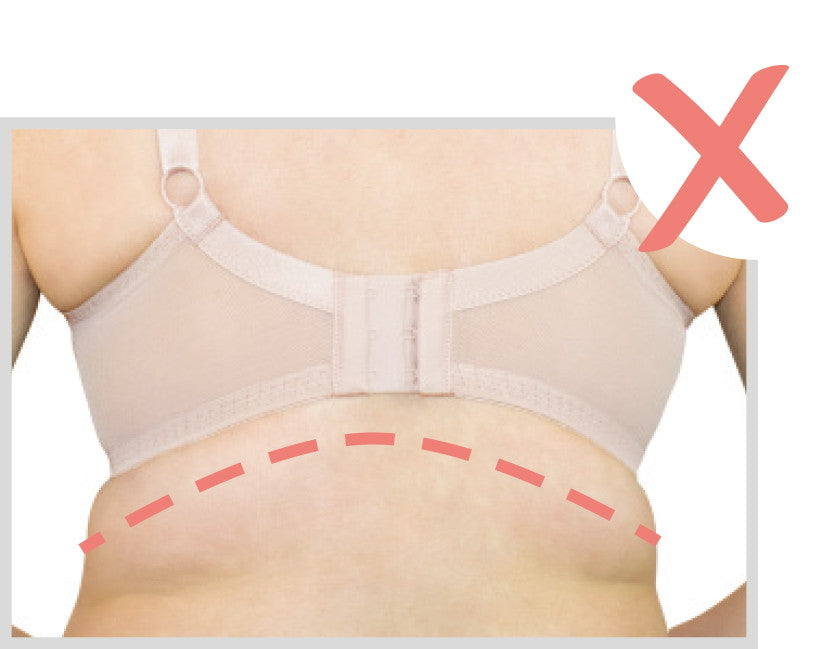 What to Expect During Your Professional Bra Fitting - Uplift Intimate  Apparel