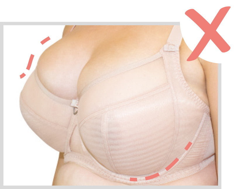 everexpandingbust  bras, correct bra fit, breasts, and self image