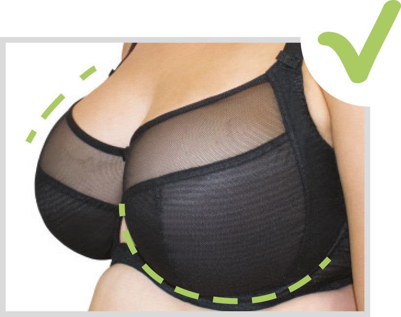 B Cup Boobs: Understanding the Breast Cup Size and Bra Style - HauteFlair