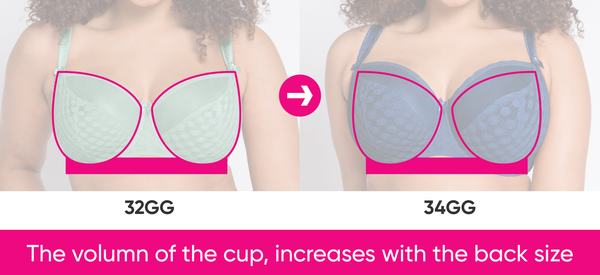 All K cups – What Bra Sizes Look Like