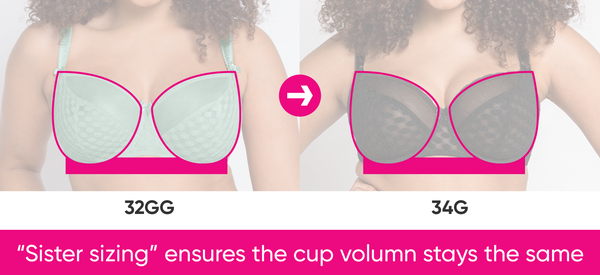 A sister size bra refers to a bra that has the same cup volume as another  bra, but with a different band size. This means that if you fin