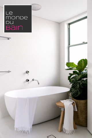 Exemple de baignoire îlot design