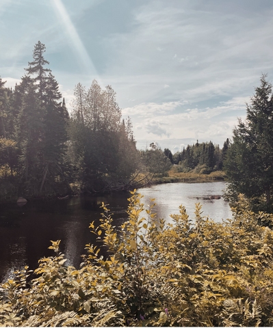 a pleasant walk in nature