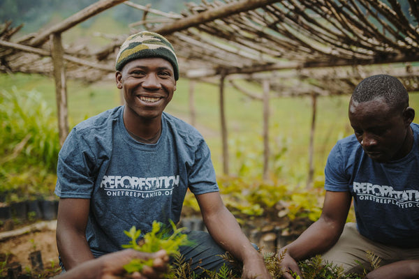 reforesting the earth with one tree planted