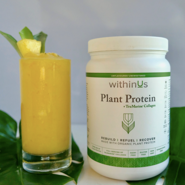 Tropical Smoothie Collagen Protein Recipe