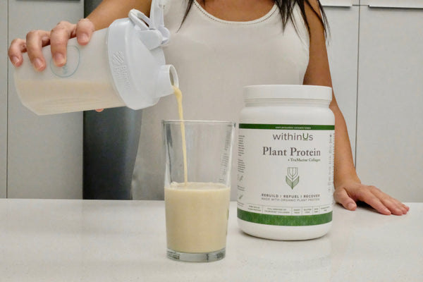 Collagen Protein Vanilla Shake Recipe
