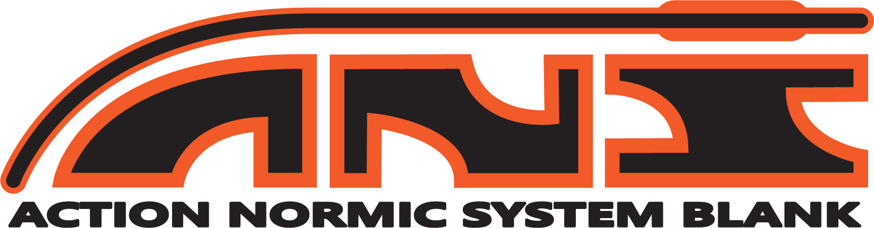 ANS (Action Normic System) - Fusti Normic