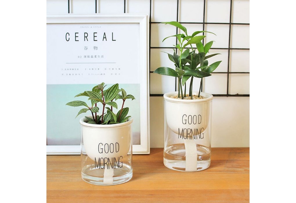 Glass Self-Watering Planter