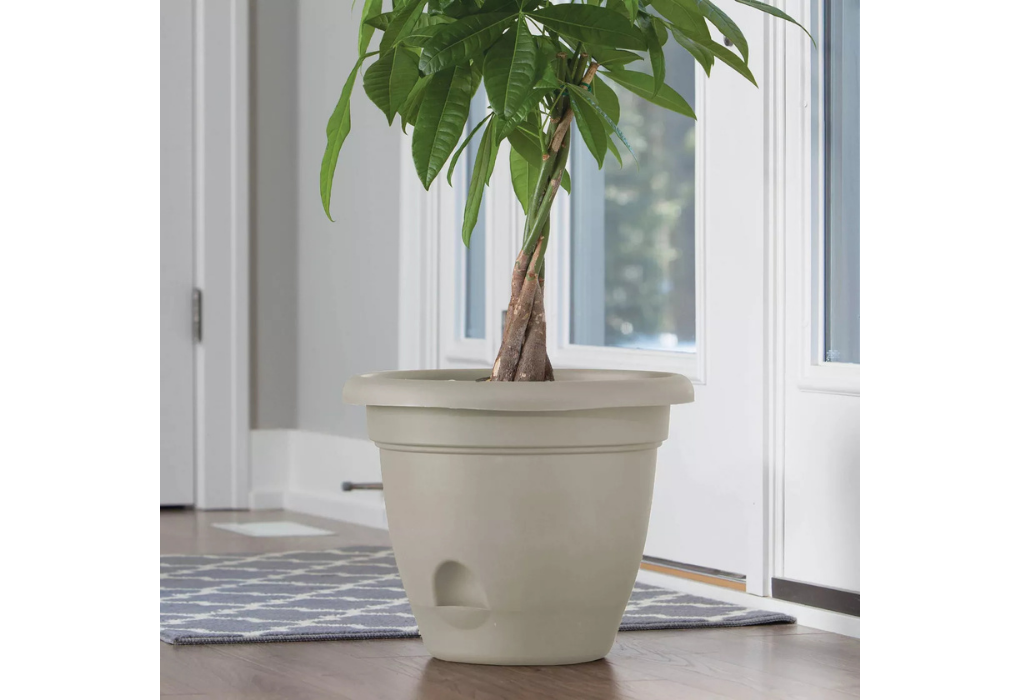 Plastice Self-Watering Pot With Saucer