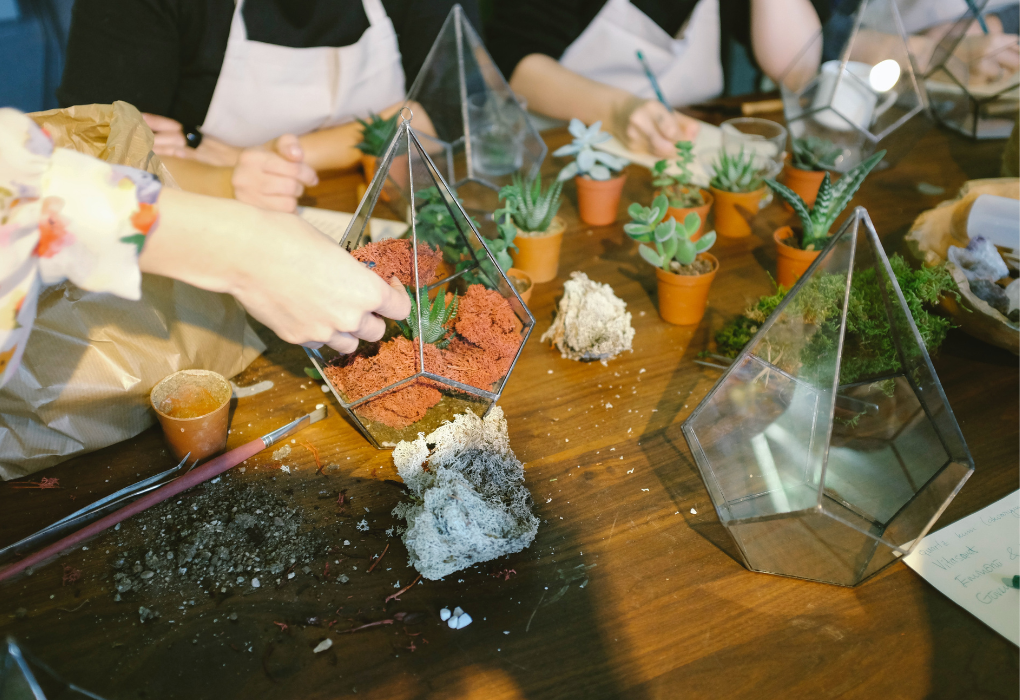 terrarium with coffee grounds