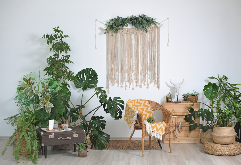 Boho Decor 101: Adding Plants