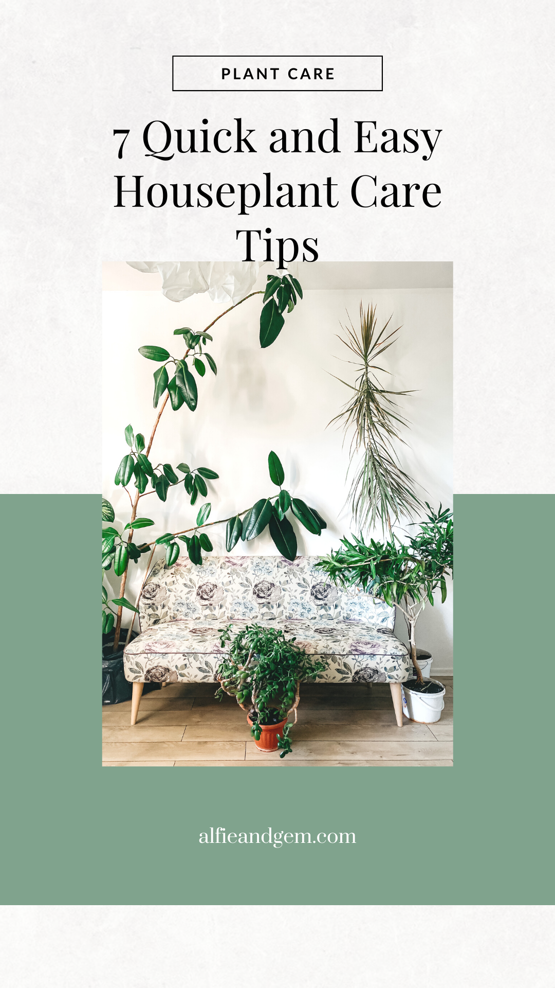 Quick And Easy Indoor Plant Care