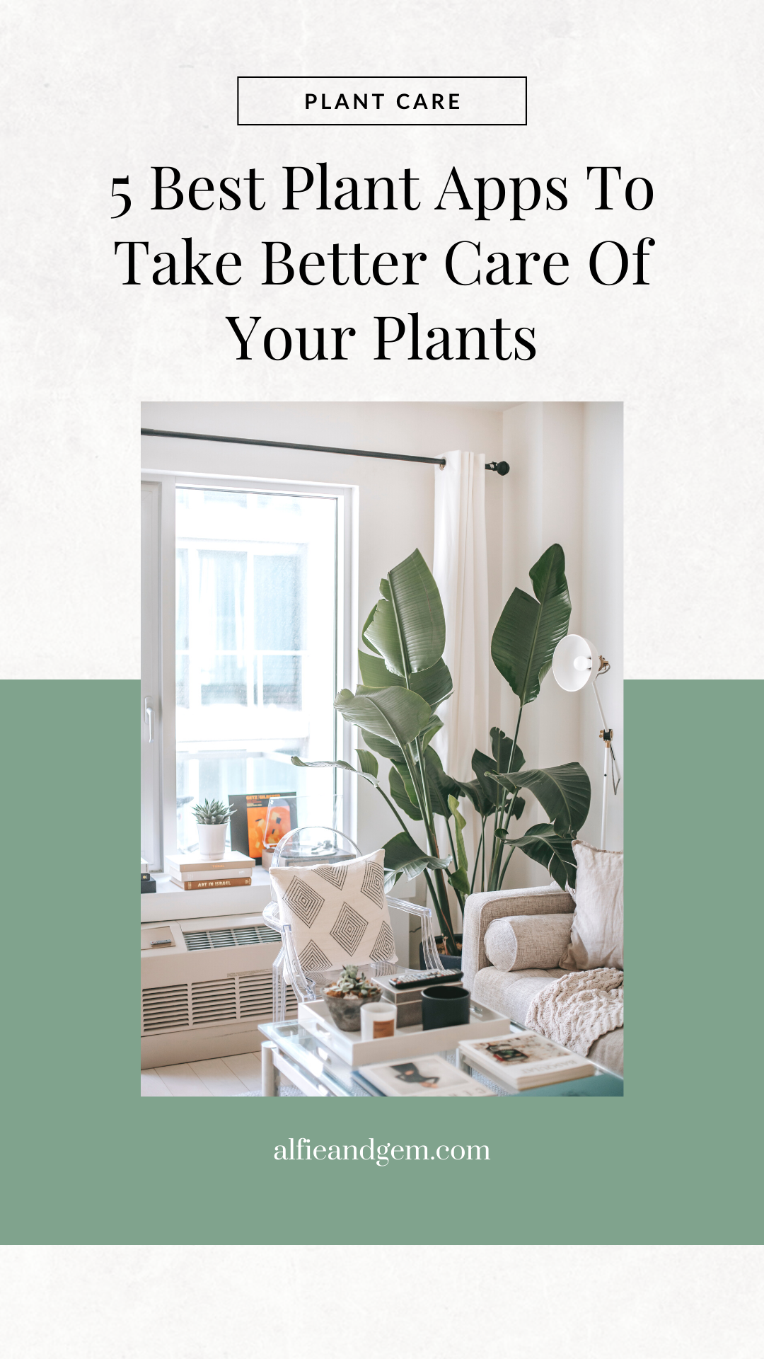 5 Best Plant Apps To Take Better Care Of Your Plants