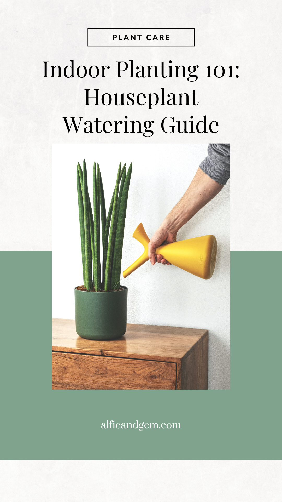 Houseplant Watering Guide