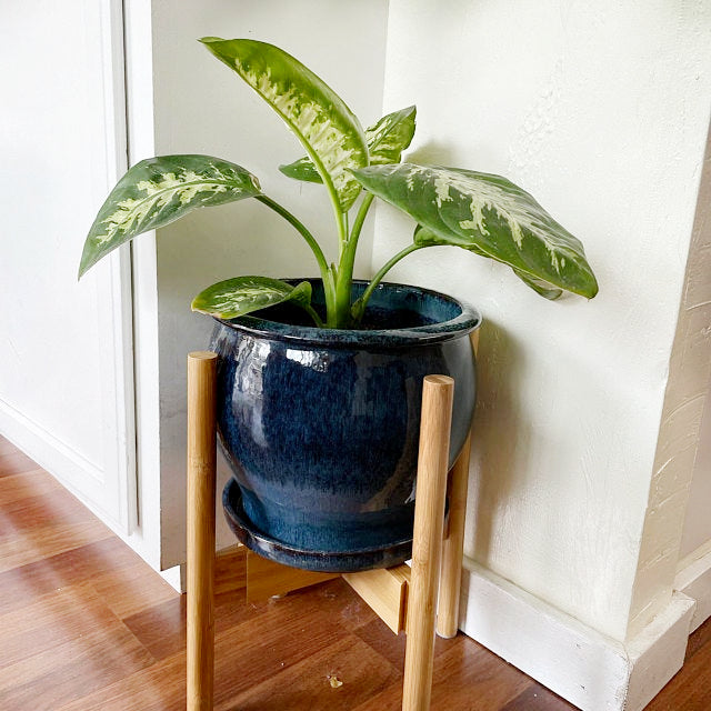 Wood Indoor Plant Stand - Bamboo | Alfie & Gem – alfie &