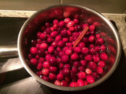 Cranberry-Pomegranate Sauce Recipe – BambiniWare