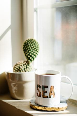 JanelleElaine_PaperFinchDesign_NauticalMug