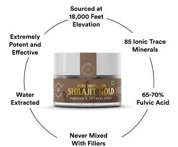 himalayan-shilajit1