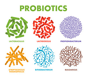 Probiotics  Types